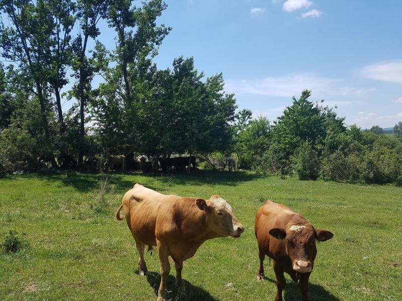 BIO farma & penzión