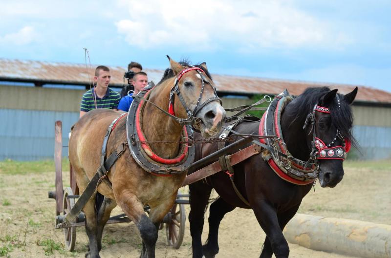BIO farma & penzión