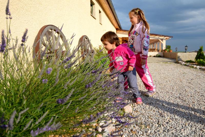 Exkurzie a prehliadky