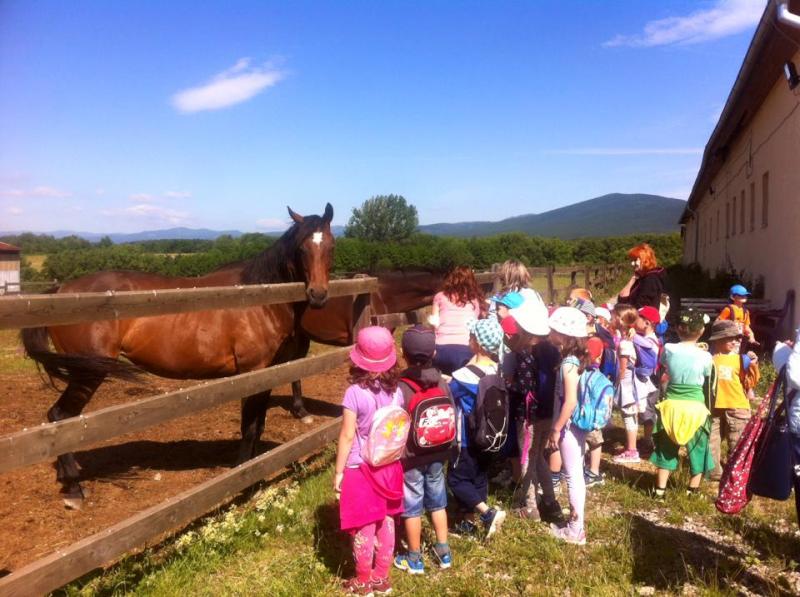 Exkurzie a prehliadky