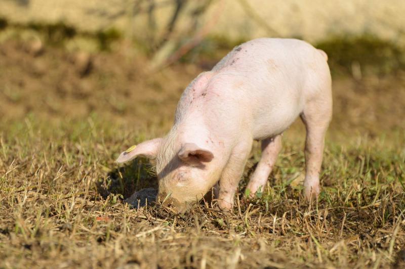 Exkurzie a prehliadky