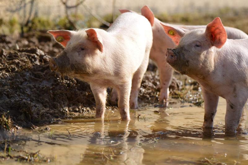 Exkurzie a prehliadky