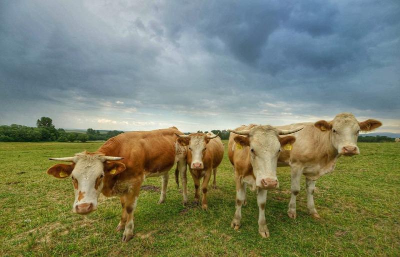 Exkurzie a prehliadky